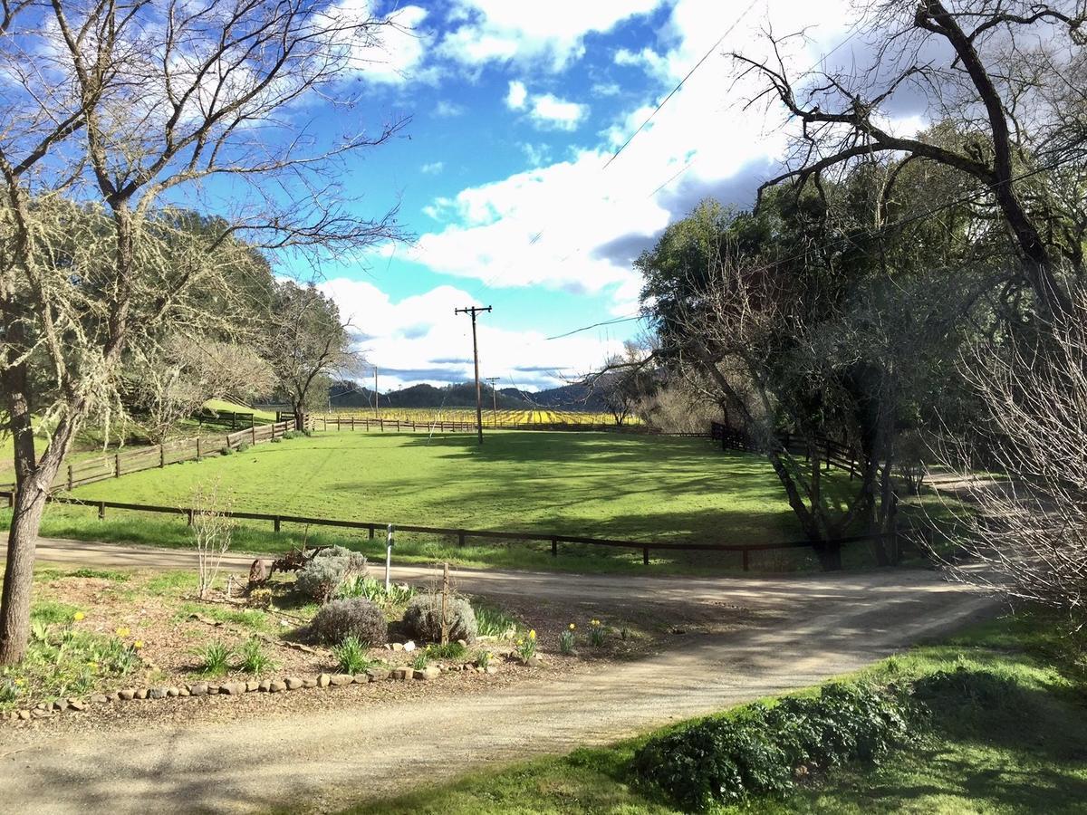 Rustridge Ranch & Winery Panzió St. Helena Kültér fotó