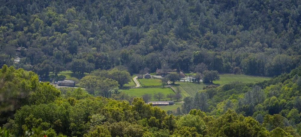 Rustridge Ranch & Winery Panzió St. Helena Kültér fotó