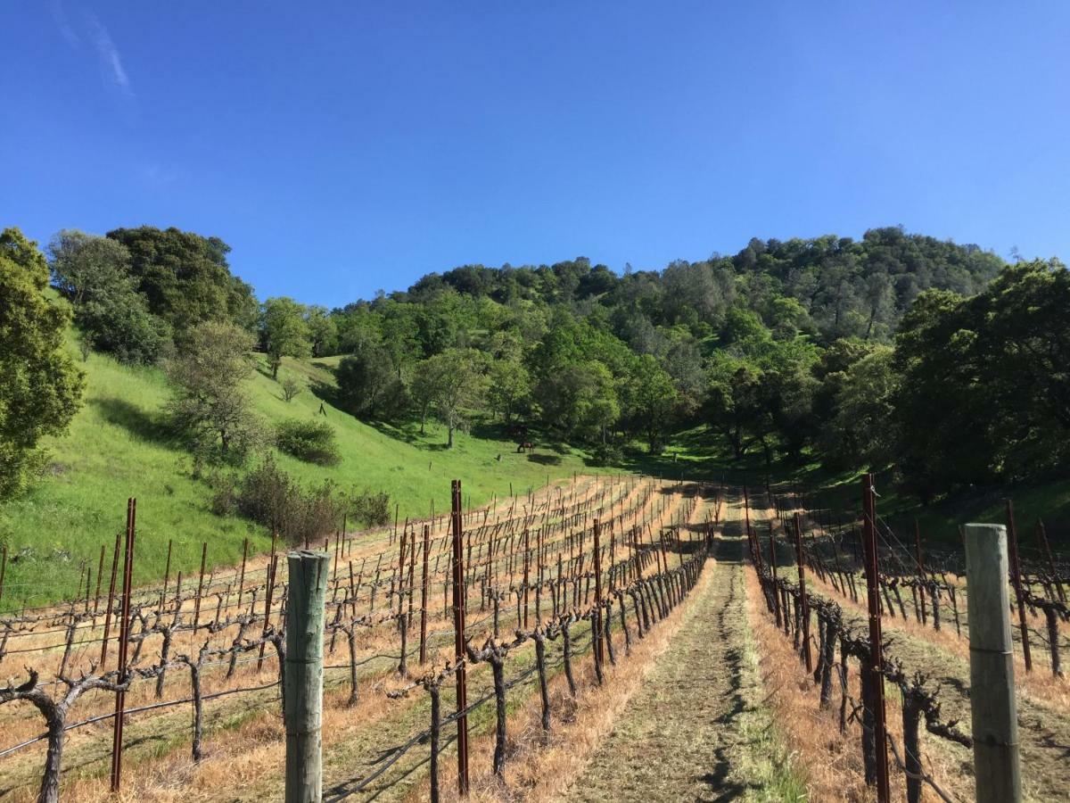 Rustridge Ranch & Winery Panzió St. Helena Kültér fotó