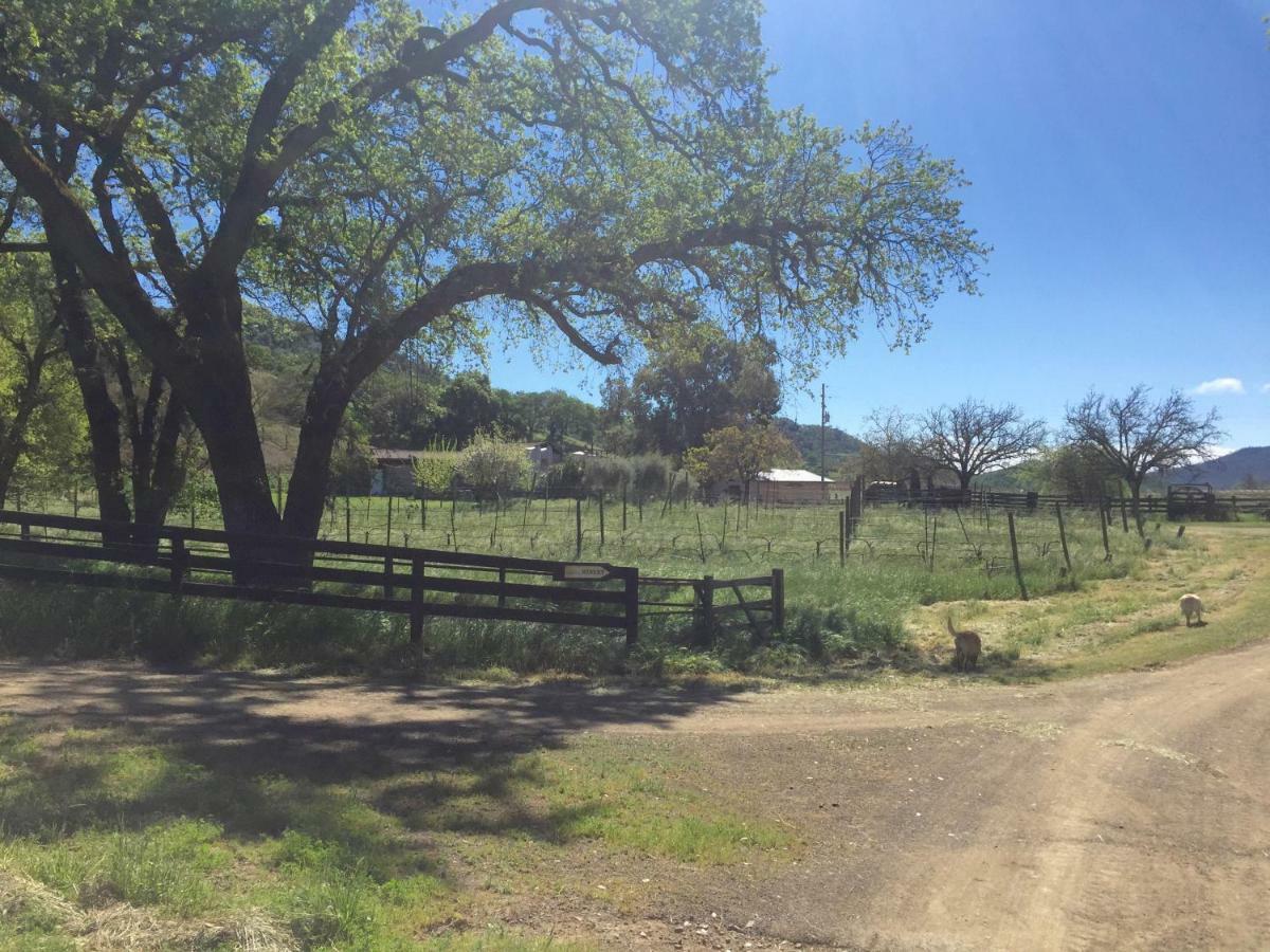 Rustridge Ranch & Winery Panzió St. Helena Kültér fotó