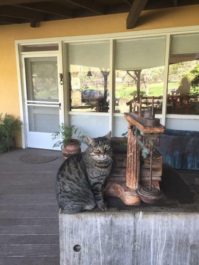 Rustridge Ranch & Winery Panzió St. Helena Kültér fotó