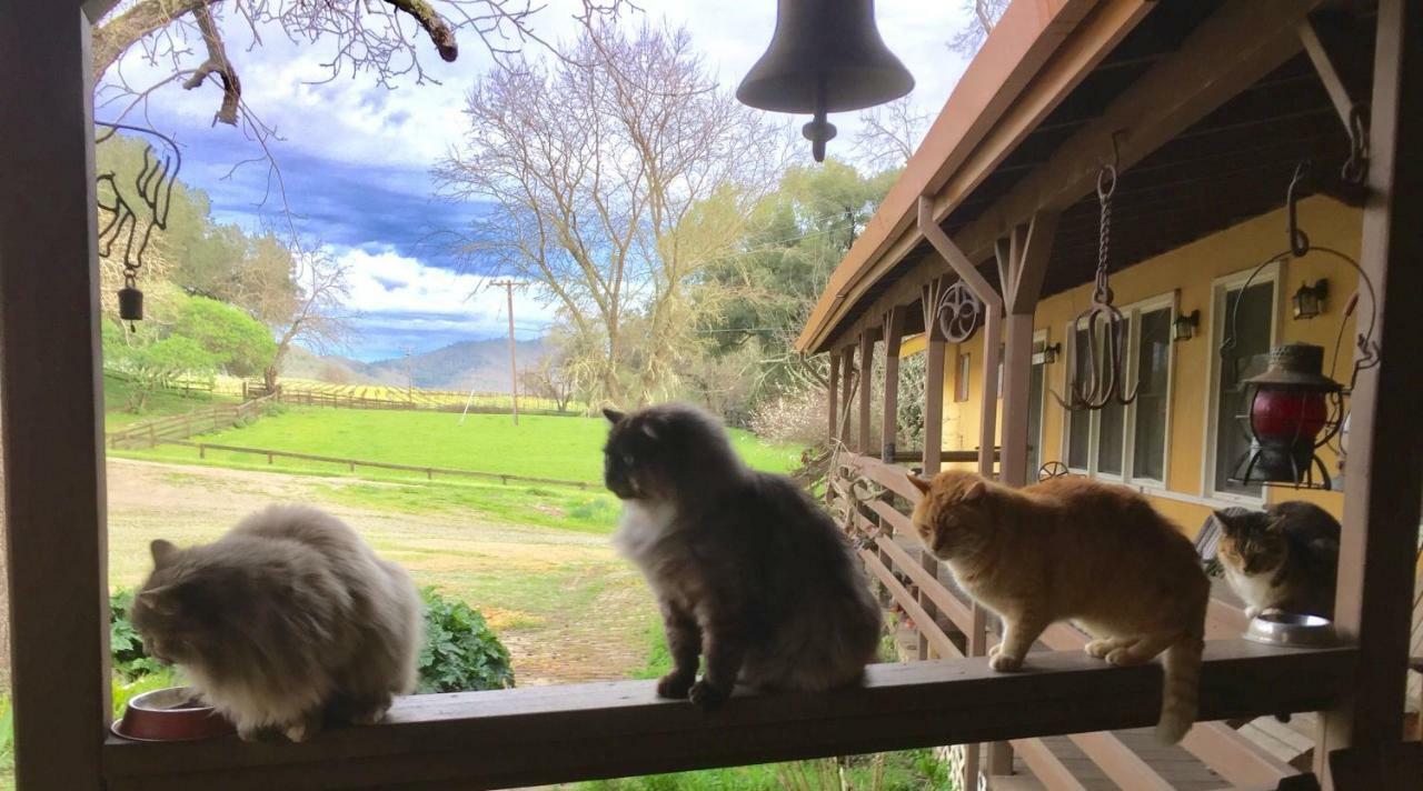 Rustridge Ranch & Winery Panzió St. Helena Kültér fotó