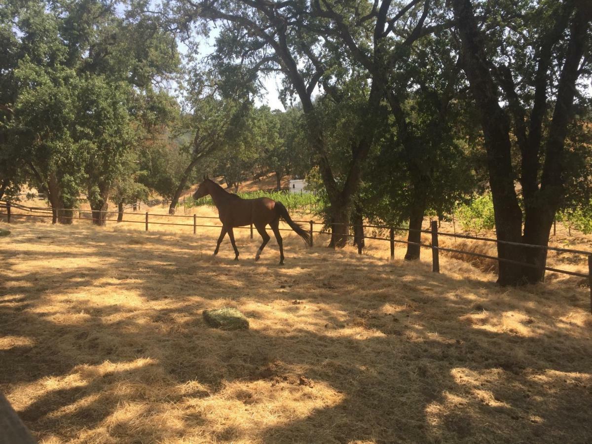 Rustridge Ranch & Winery Panzió St. Helena Kültér fotó